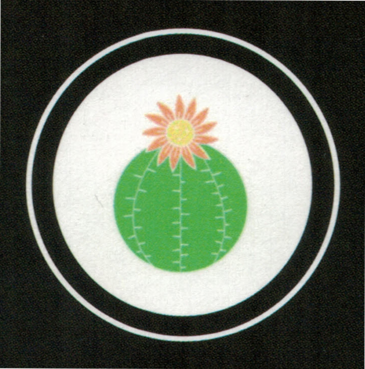 boroglasslogo