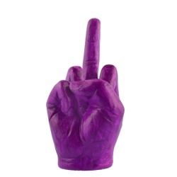 pinkpurplemiddlefinger